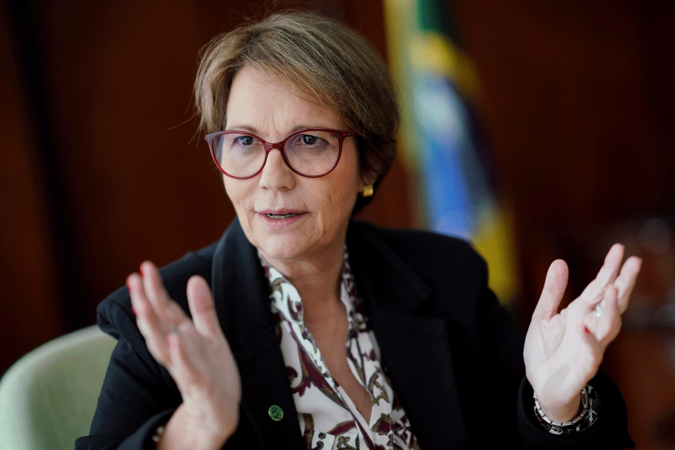 Tereza Cristina deverá prestar informações sobre pecuária no Pantanal