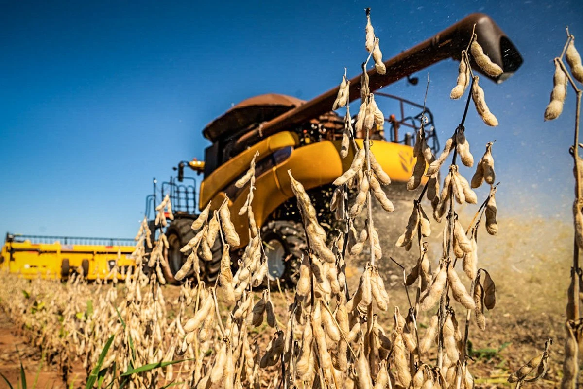Apesar da crise, Ipea aumenta previsão para PIB agropecuário do Brasil