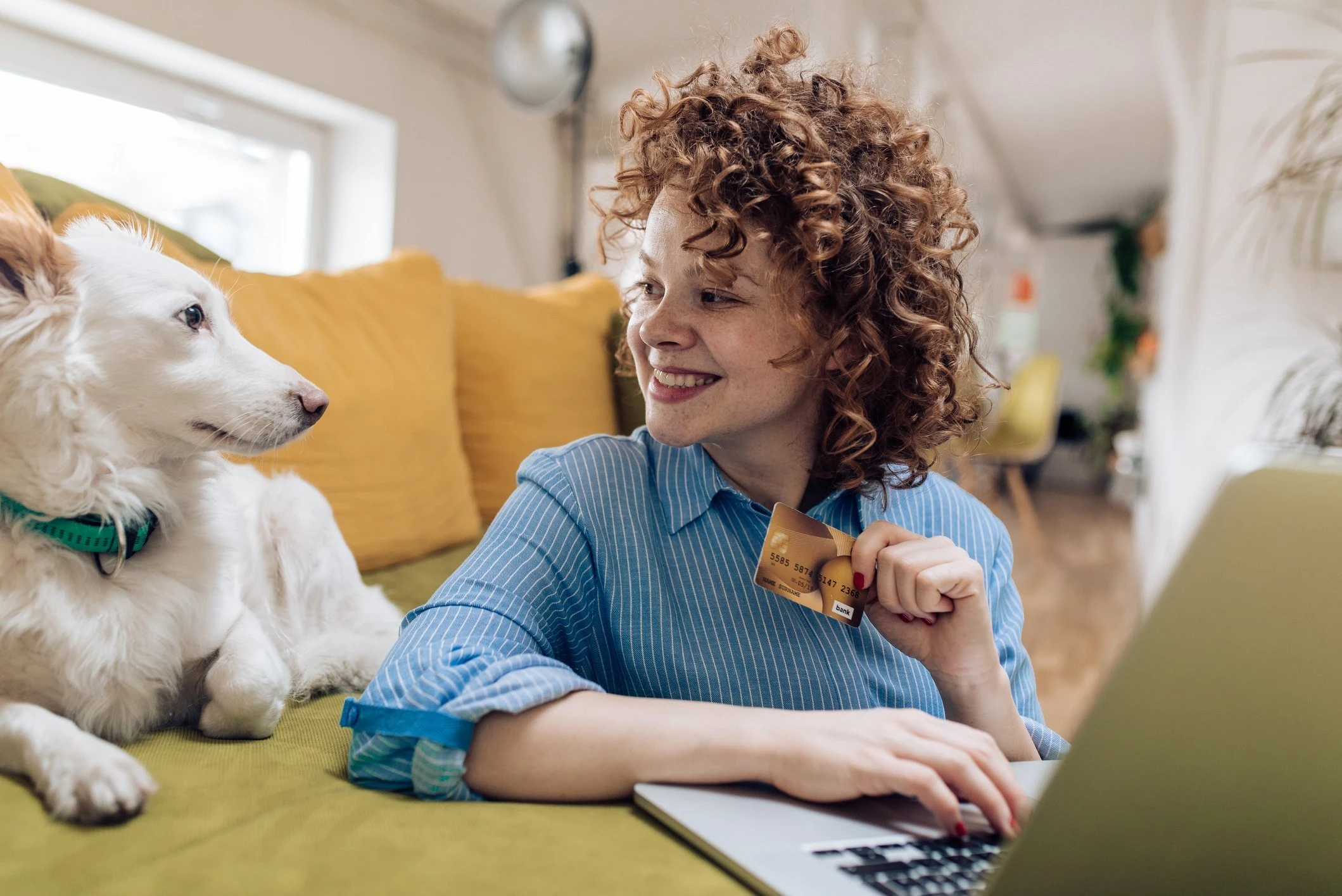 Dona da Pedigree e Whiskas lança e-commerces e mira na venda direta