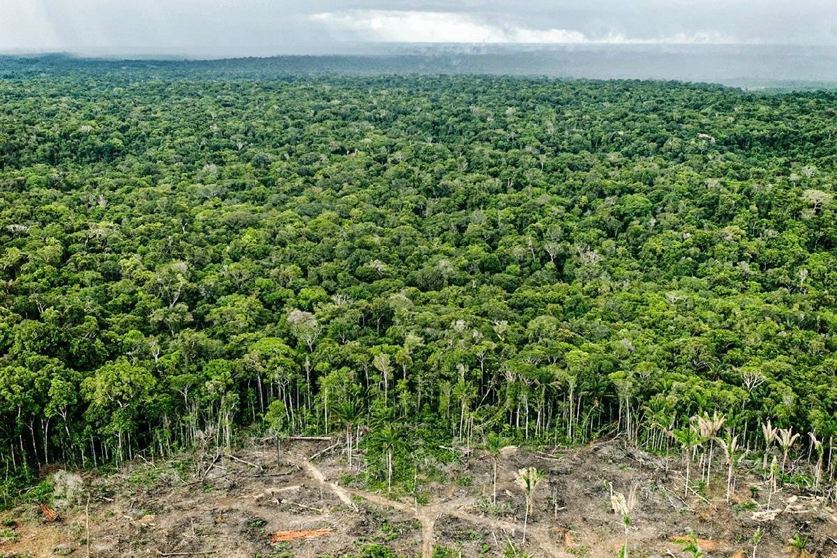 Produzir e preservar: desenvolvimento sustentável é o futuro da Amazônia