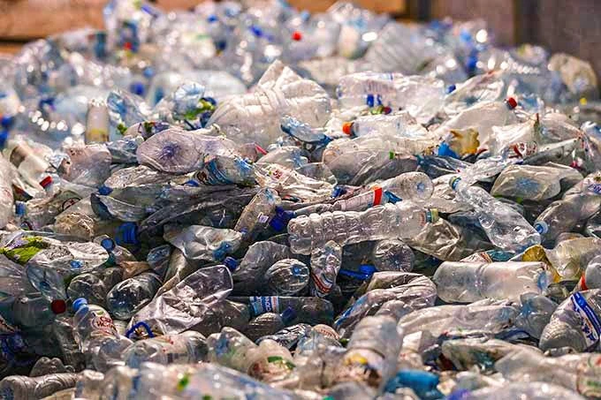 Como estes pesquisadores transformaram plástico em alimento