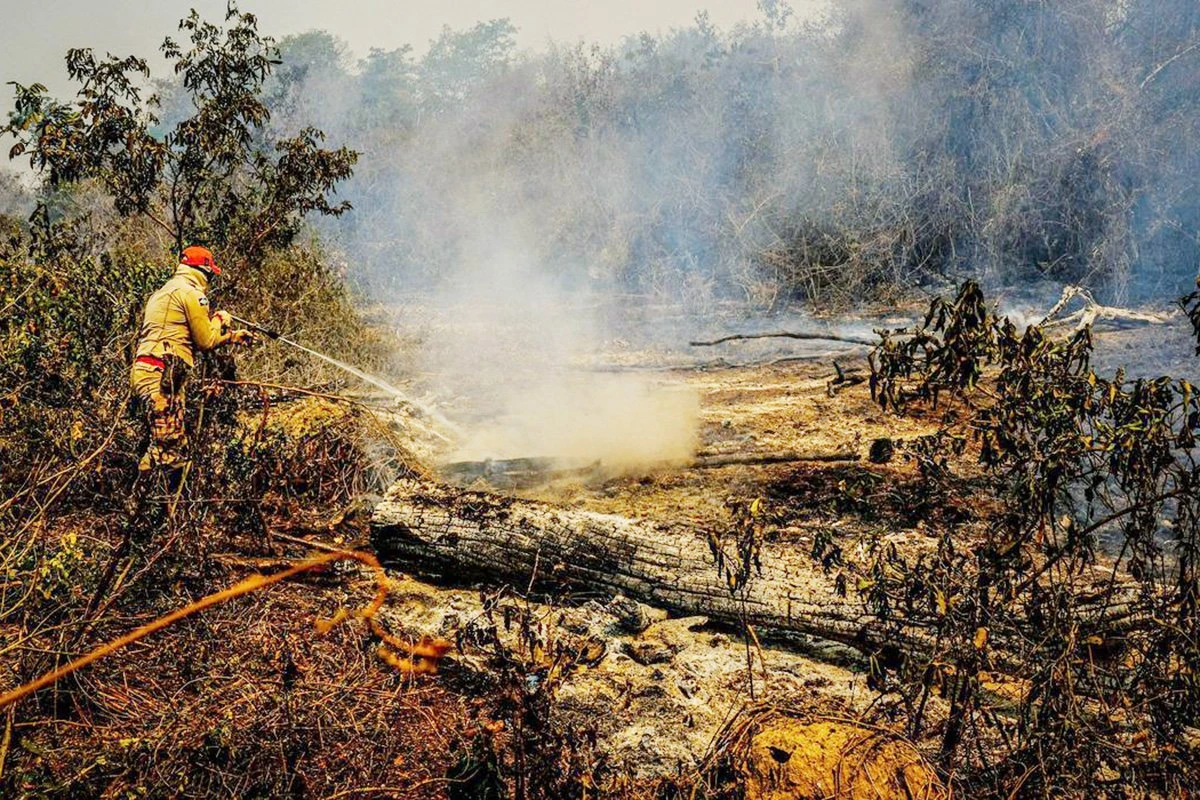 Diretora do BC reitera impacto de crise climática para política monetária