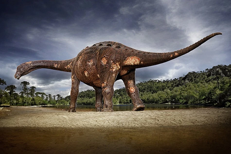 Cientistas brasileiros descobrem dinossauro “zumbi” com parasita nos ossos