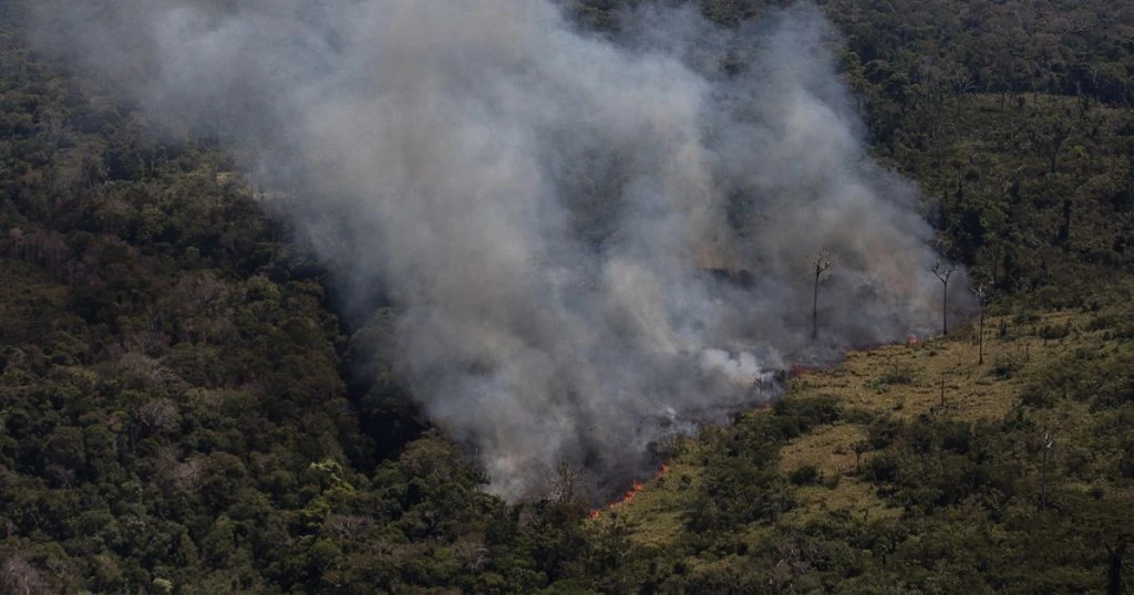 O uso da IA em sistemas de monitoramento ambiental pode auxiliar na prevenção de desastres ambientais