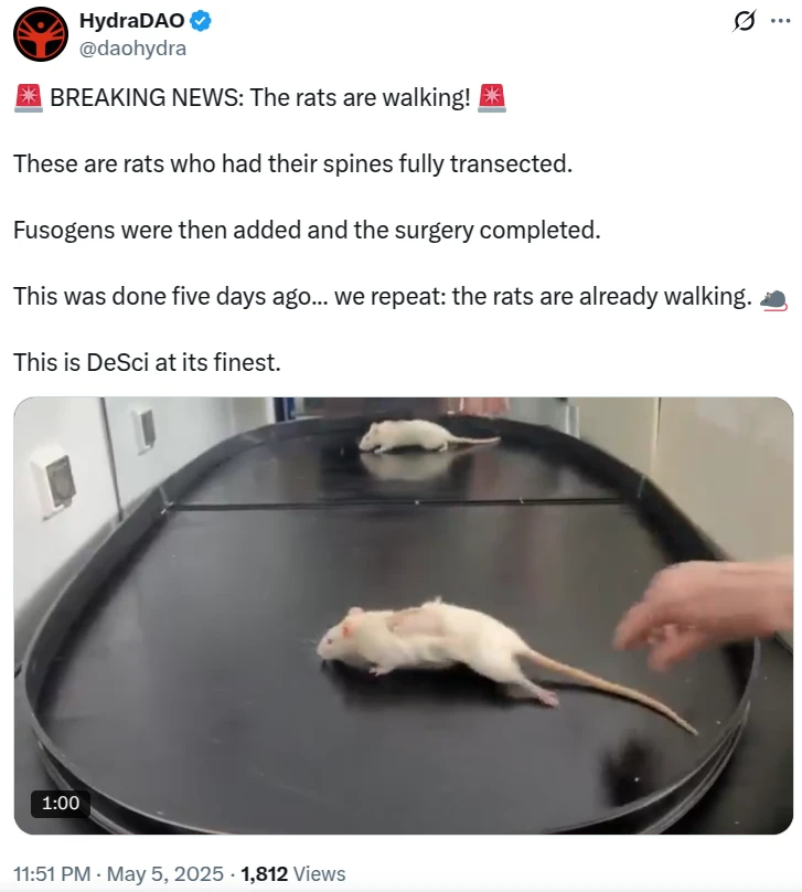  Research DAO claims paralyzed rats recover after spinal cord fix 