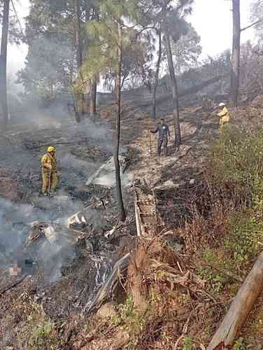 Siete muertos al desplomarse una avioneta Cessna en Jalisco   