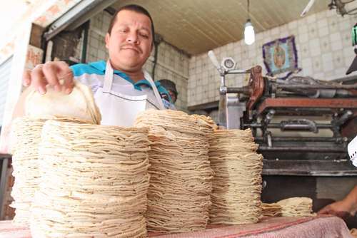 Cofece sugiere que Gruma venda cinco de sus plantas   