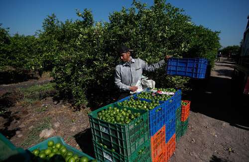 Criminales asedian a productores   