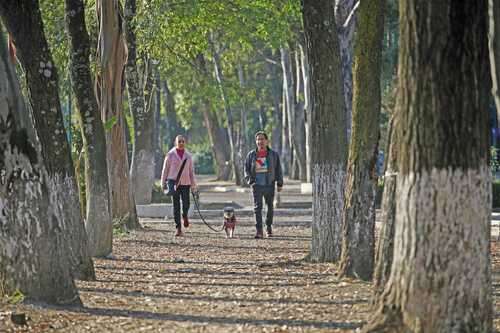 Paseo invernal   