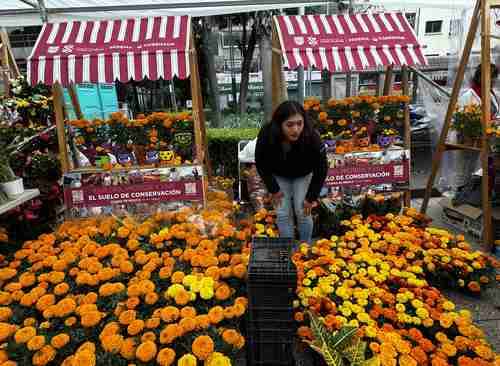 Flores para iluminar el camino de los difuntos   