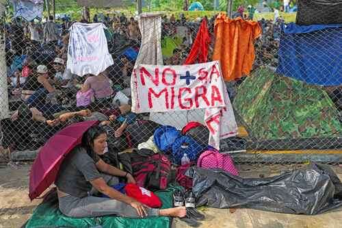 Incansables pasos al norte   