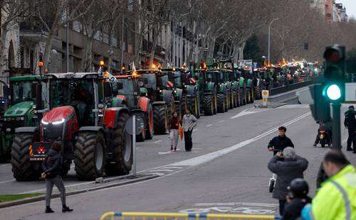 Plantón con tractores, toros y ovejas frente al ministerio de Agricultura en Madrid   