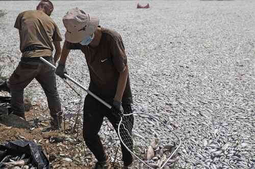 Contingencia ambiental en Grecia   