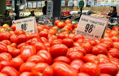 Cuota al jitomate no descarrilará la industria: FIRA   