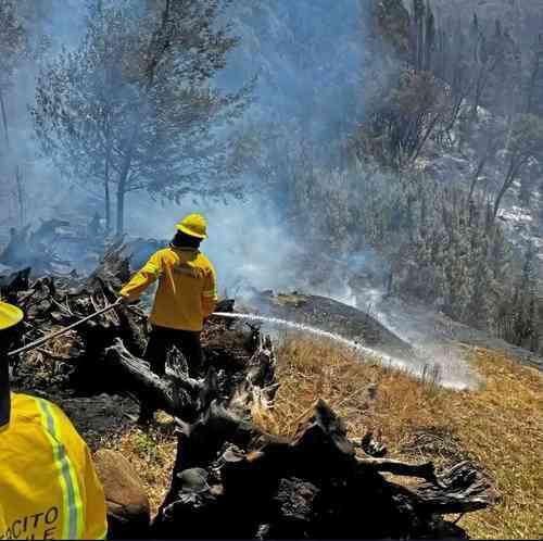 Calcinadas, 51 mil hectáreas verdes de Chile en 4 meses    