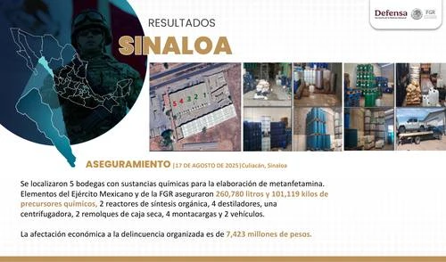 Enrique Galván Ochoa: Dinero   