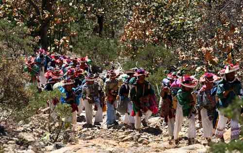 Después de 26 años se define si la Ruta Wixárika se inscribe en la lista de la Unesco   
