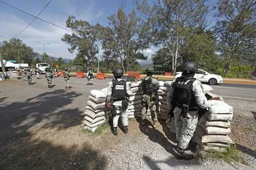 Asedio al crimen organizado   