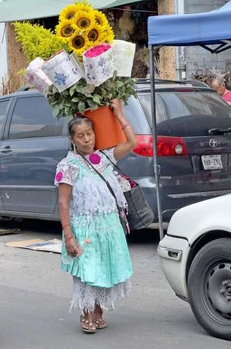 Enrique Galván Ochoa: Dinero   