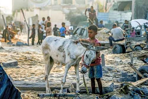 Israel tiene “mucha responsabilidad” por la crisis alimentaria en Gaza: EU   