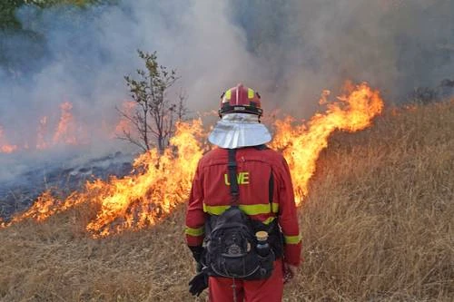 Arrasa el fuego 400 mil hectáreas en España, casi uno por ciento del país   