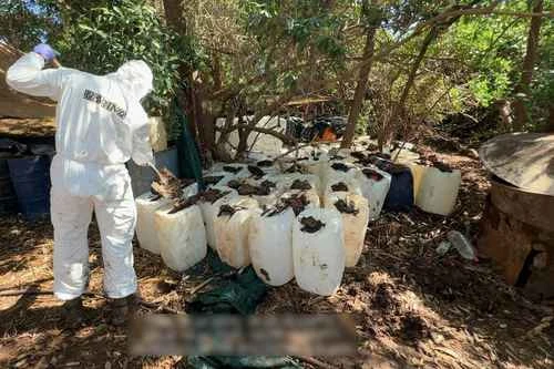 Sinaloa: desmantelan 6 narcolaboratorios con más de 4.8 toneladas de metanfetamina    