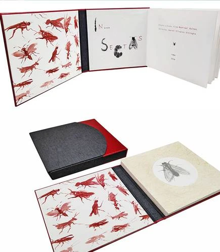“Para muchos artistas, un libro es un lienzo, un espacio para esculpir”   