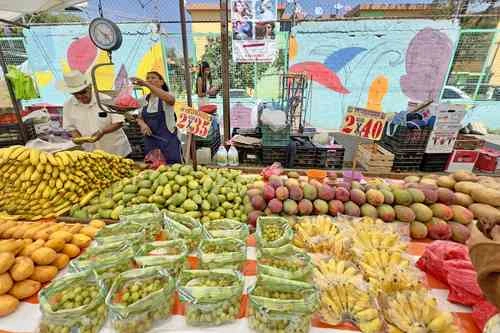 Se desacelera  la inflación general a 3.51% en julio   