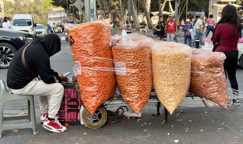 Con sobrepeso y dificultades visuales, 40 por ciento de niños de primaria   