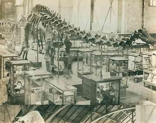 Festejan medio siglo de El Chopo    