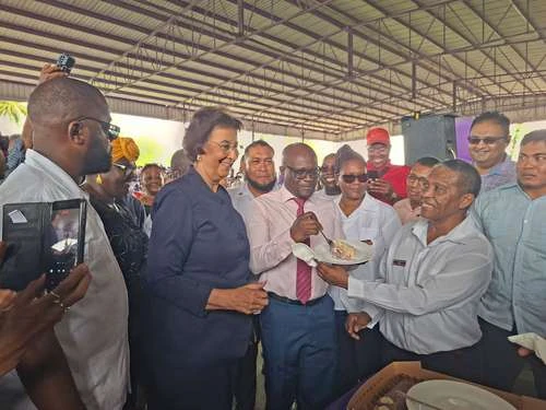 Eligen a primera presidenta de Surinam   