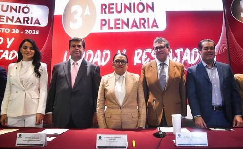 La reforma electoral es una “necesidad histórica”   