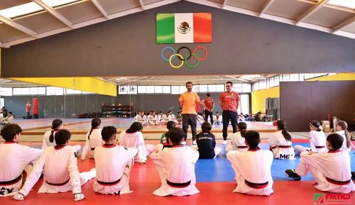 Suspenden a la Fmtkd por “problemas de gobernanza”     