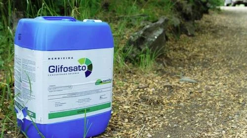 Transgénicos y energía, entre las trabas que EU encara en México   