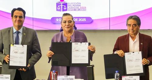 Cifra de participación definirá el éxito de la elección judicial: INE    