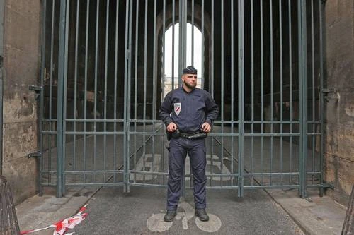 Mientras la tristeza invade a los turistas, 60 investigadores van tras ladrones del Louvre   