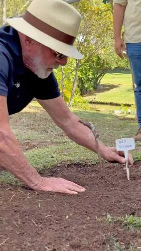 Planto comida, no violencia ni odio, le expresa Lula a Trump   
