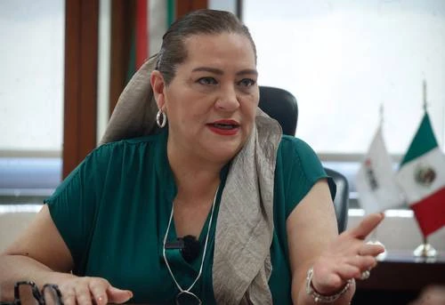 Baja afluencia a las urnas no será culpa del INE: Taddei   
