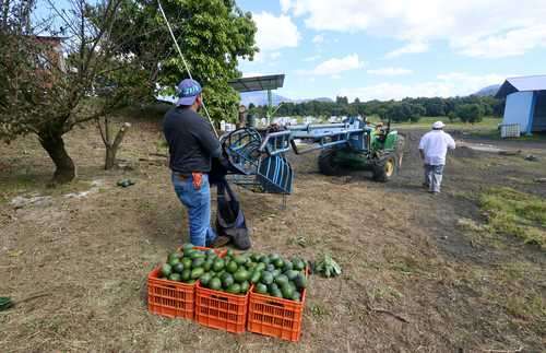 La inversión extranjera en el campo rara vez beneficia al mercado local   