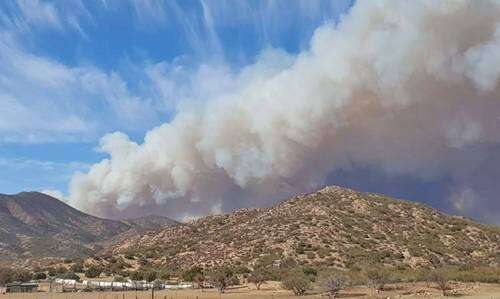 Conafor combate 3 incendios forestales en Baja California que afectan 11,356 hectáreas     