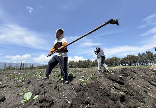 Prevalecen en Mexicali y San Quintín prácticas laborales ilegales   