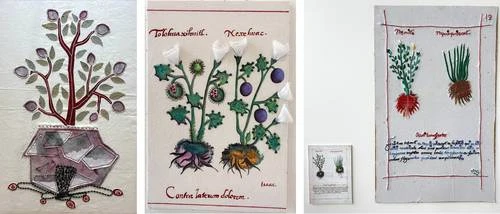 Observan con mirada creativa manuscrito prehispánico sobre plantas medicinales   