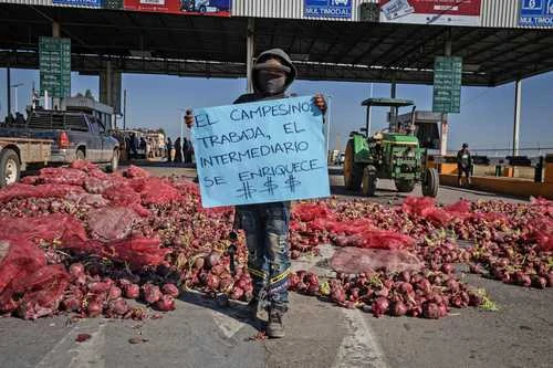 Cayó 6% en un año el crédito de la banca comercial para el campo   