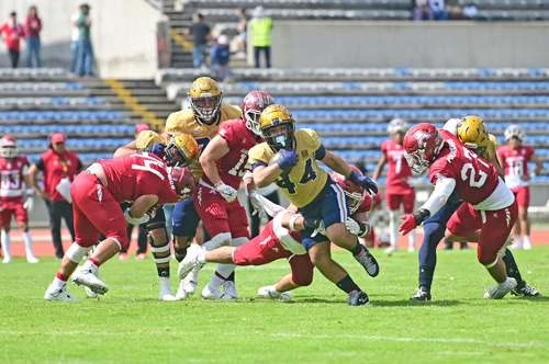 La edición 77 del Clásico Nacional de la Onefa  fue para los Pumas CU   