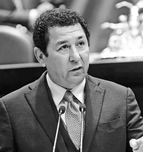 EU retira la visa a diputado del Verde;  él dice que sólo le pidieron “renovarla”   