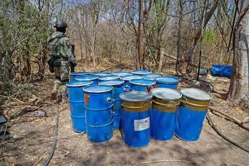 Ubican a empresas en México que adquieren insumos para el narco   