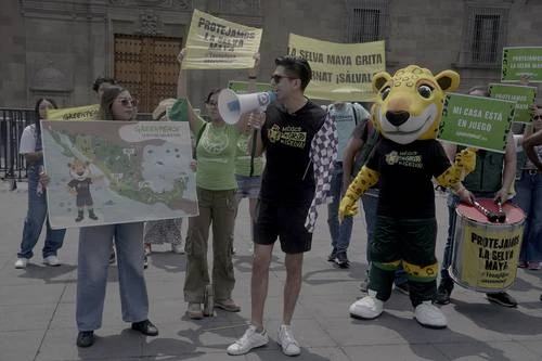 Piden proteger la Selva Maya   