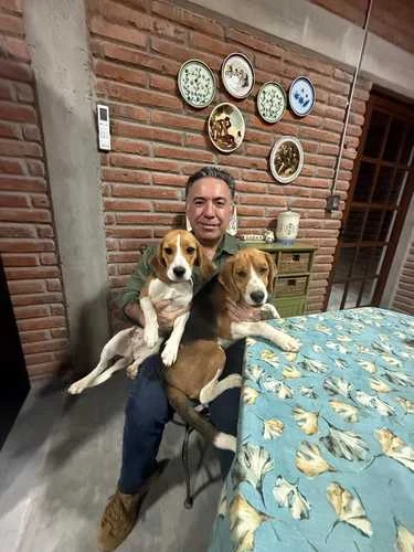 Inzunza se aferra al fuero   