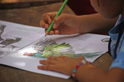 Órganos fundados por Toledo lanzan cuadernos para niños sobre el cuidado de las especies    