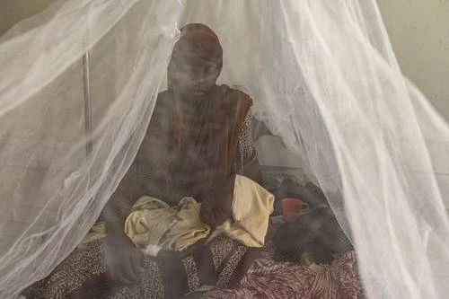 Guerra en Irán agrava escasez de alimentos para niños en Somalia   